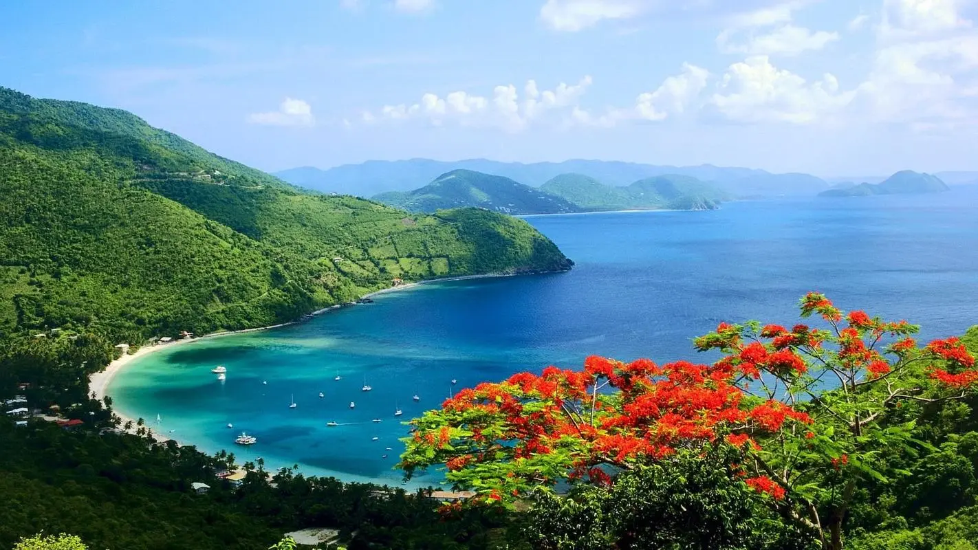 高效高质量智慧